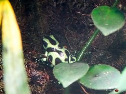 Tiergarten Schönbrunn am 23.03.2023